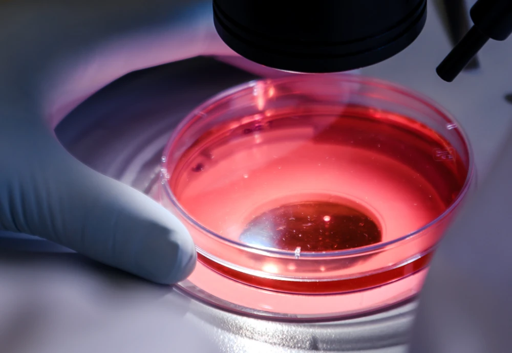 best digital microscope for biology